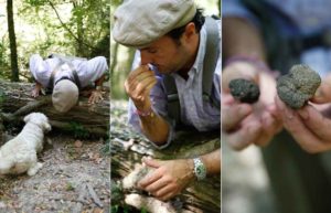 Cooking course Orvieto Italy truffle search